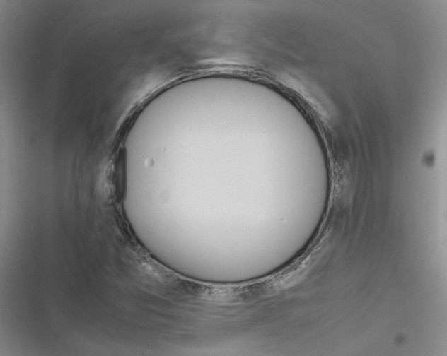 X0000116821357201001151156