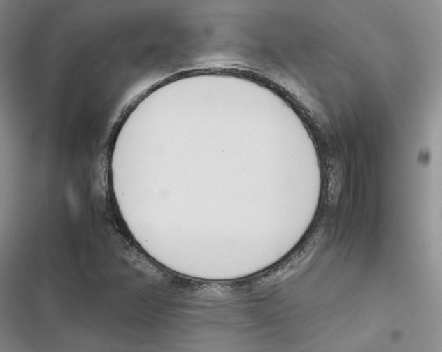 X0000116821358201001151156