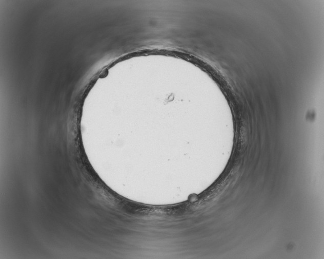 X0000116821359201001151156