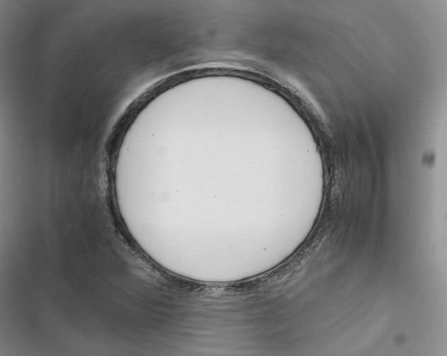 X0000116821360201001151156