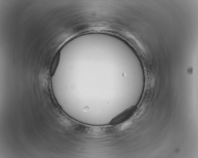 X0000116821361201001151156