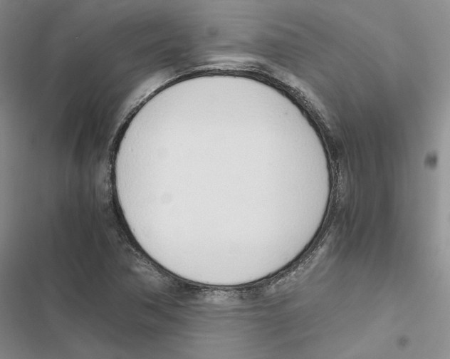 X0000116821362201001151156