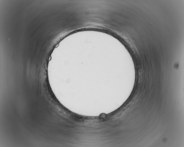 X0000116821363201001151156