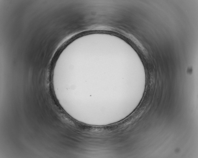 X0000116821364201001151156