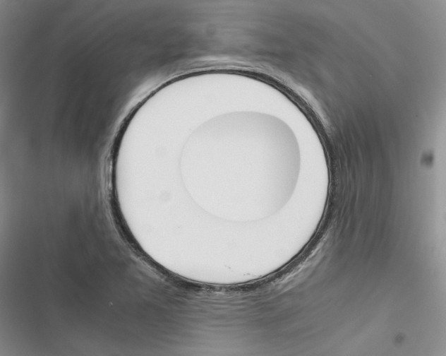 X0000116821365201001151156