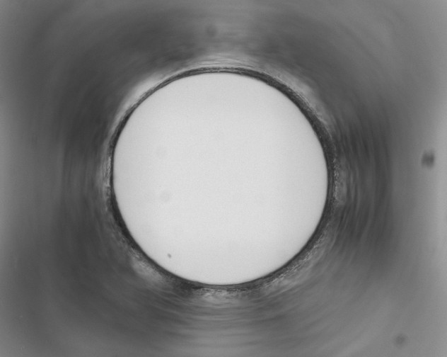 X0000116821366201001151156