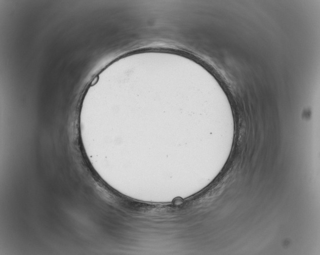 X0000116821367201001151156