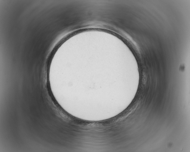 X0000116821368201001151156