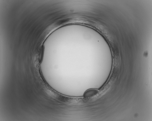 X0000116821369201001151156