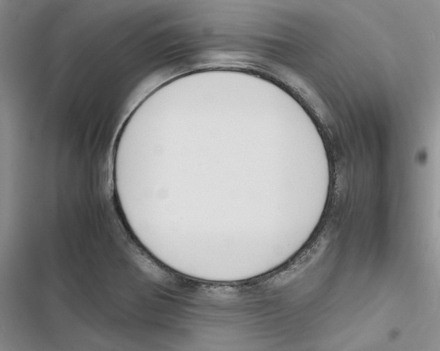 X0000116821370201001151156