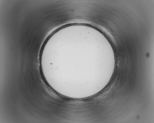 X0000116821372201001151156