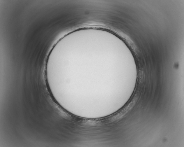 X0000116821374201001151156