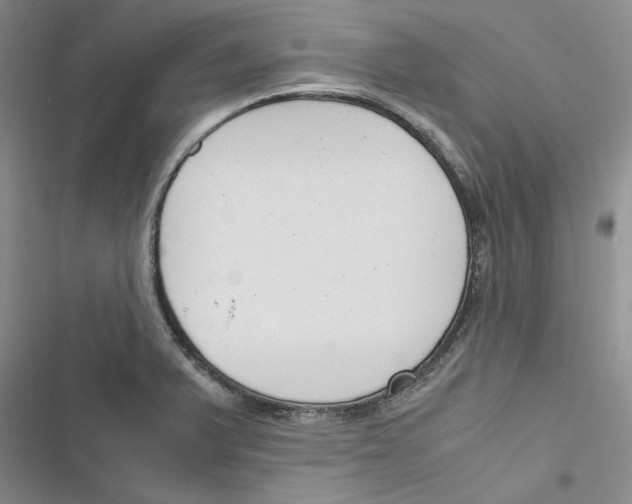 X0000116821375201001151156