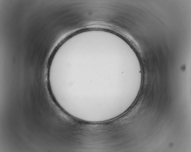 X0000116821376201001151156