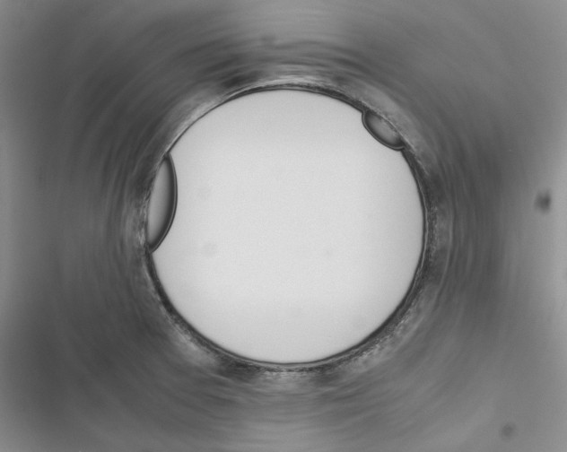 X0000116821377201001151156