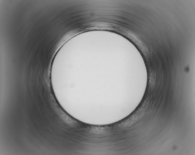 X0000116821378201001151156