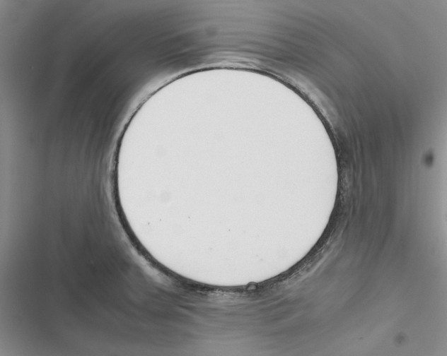 X0000116821379201001151156