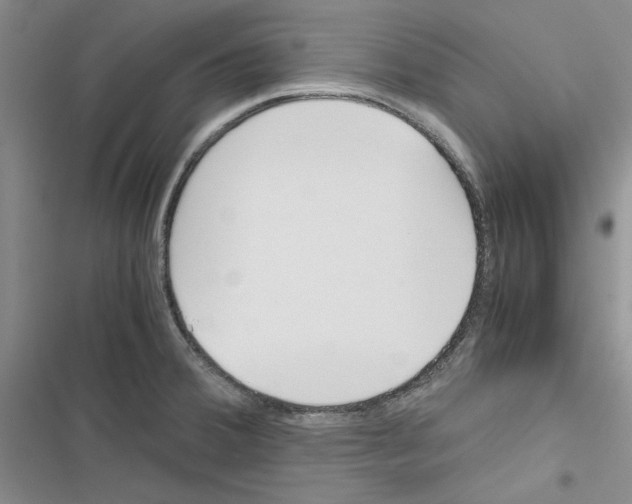 X0000116821380201001151155