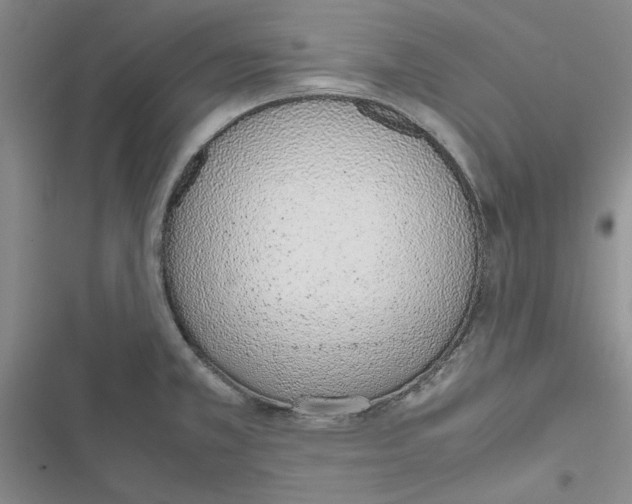 X0000116821381201001151155