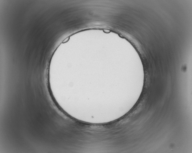 X0000116821383201001151155