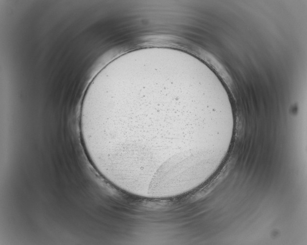 X0000116821386201001151155