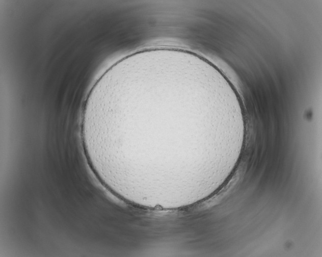 X0000116821390201001151155