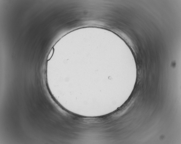 X0000116821391201001151155