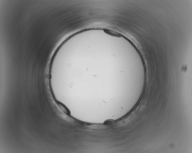 X0000116821392201001151155