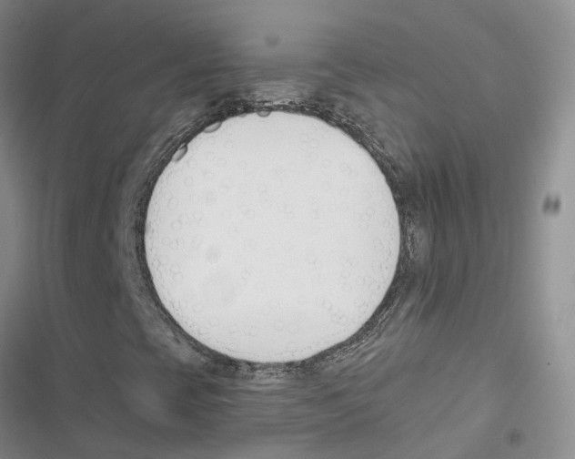 X0000116821393201001151155