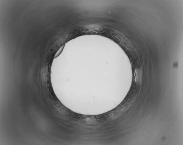 X0000116821395201001151155