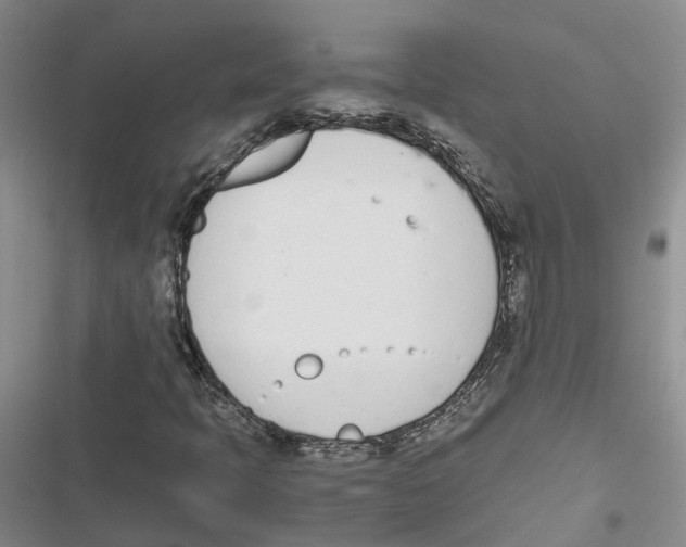 X0000116821397201001151155