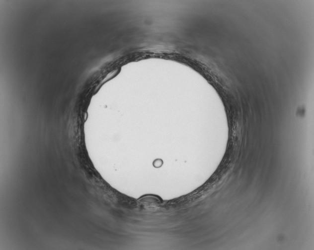 X0000116821398201001151155