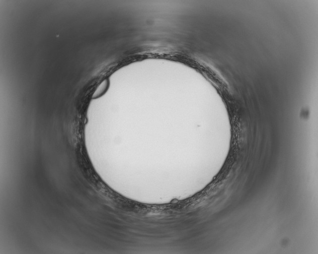 X0000116821399201001151155