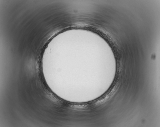 X0000116821401201001151155