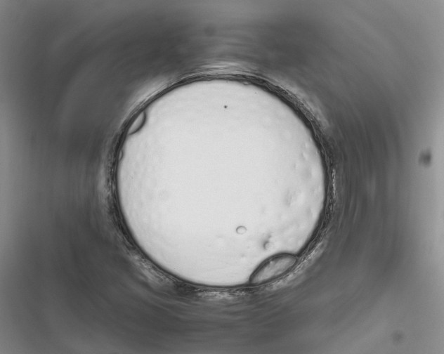 X0000116821405201001151155