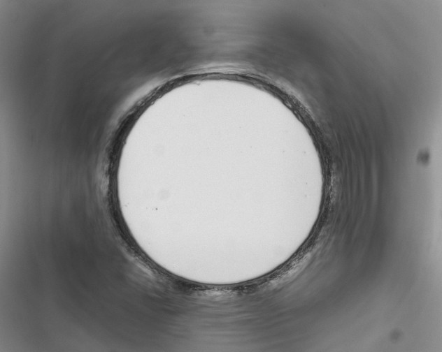 X0000116821406201001151155