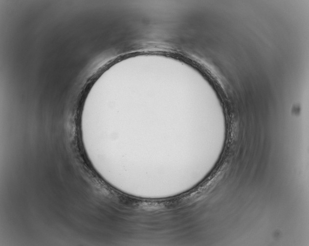 X0000116821407201001151155