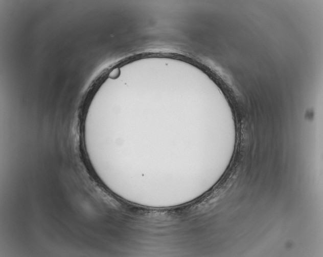 X0000116821408201001151155