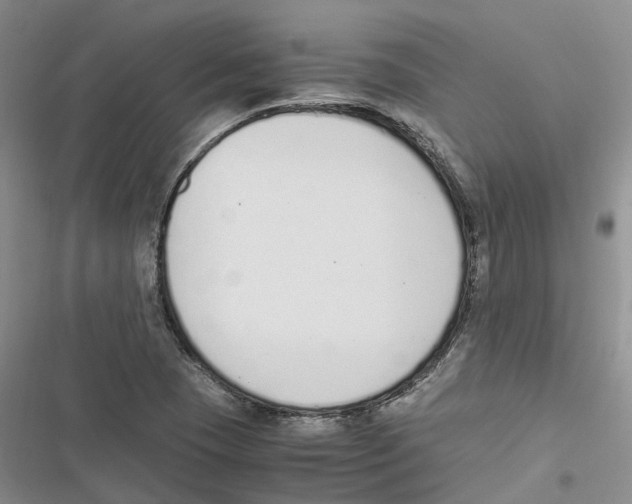 X0000116821409201001151155