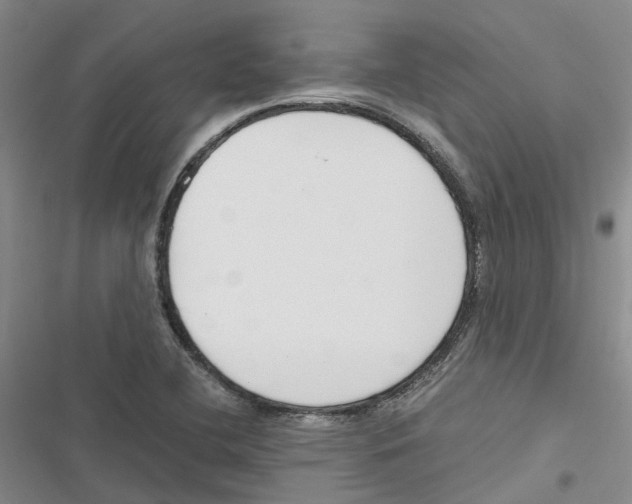 X0000116821412201001151155