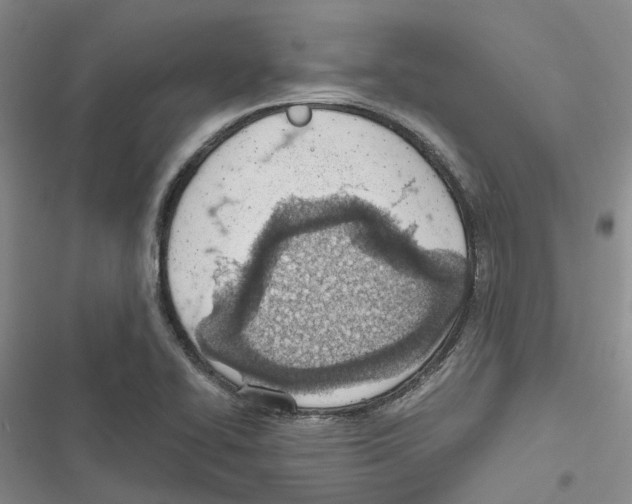 X0000116821414201001151155