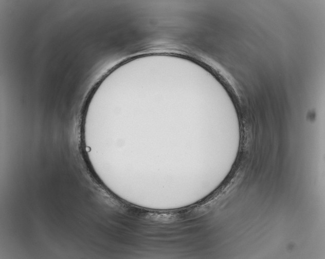 X0000116821415201001151155