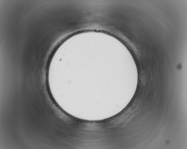 X0000116821416201001151155