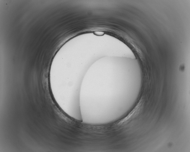 X0000116821417201001151155