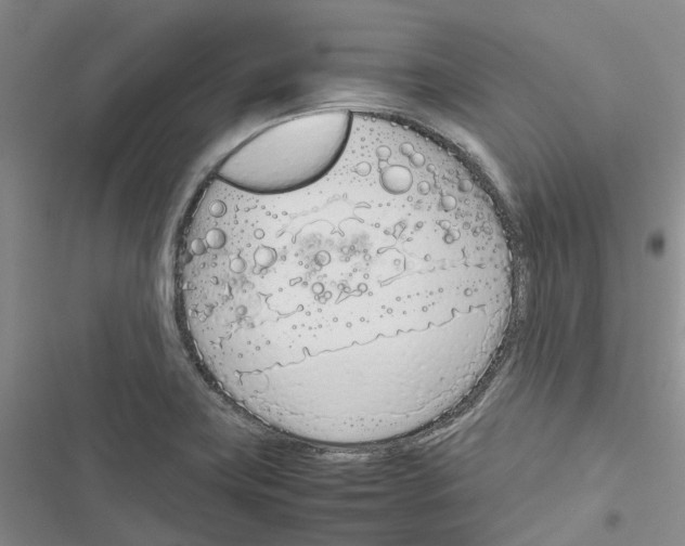 X0000116821419201001151155