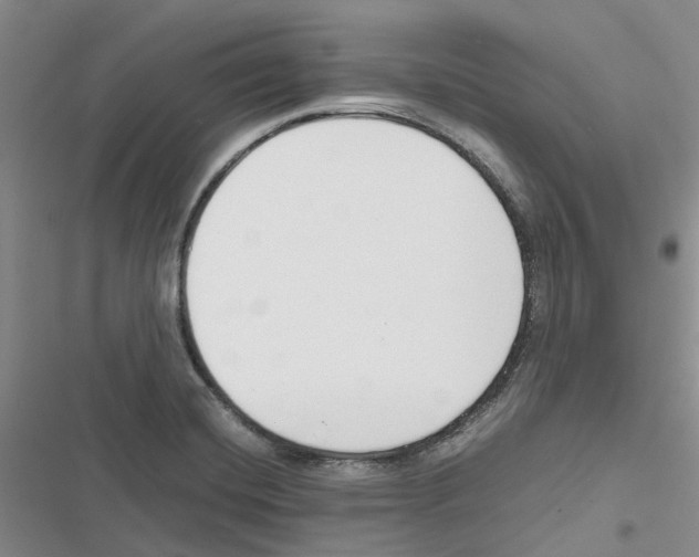 X0000116821420201001151155