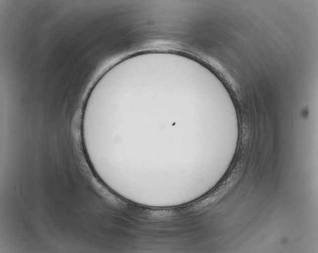 X0000116821421201001151155