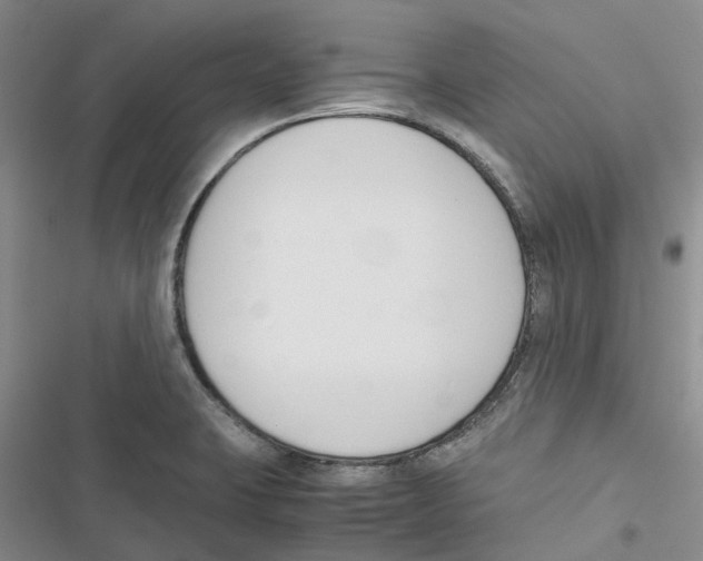 X0000116821423201001151155