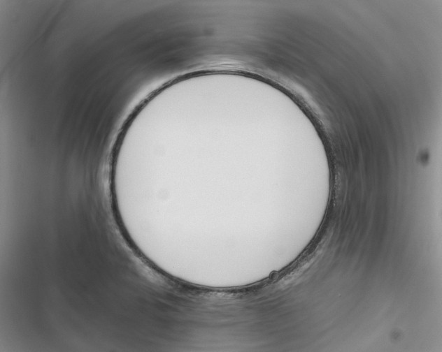 X0000116821424201001151155