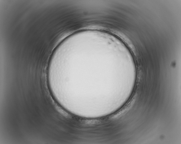 X0000116821425201001151155